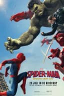 Spider-Man: Brand New Day