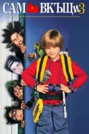 Home Alone 3
